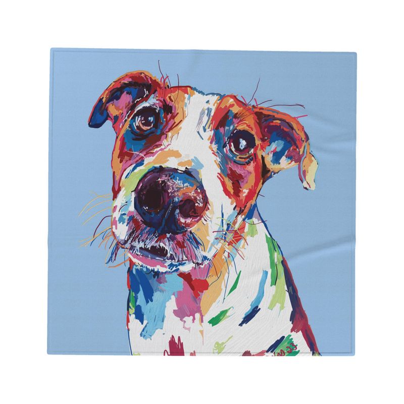 Rainbow Dog Blanket - Blue Cava