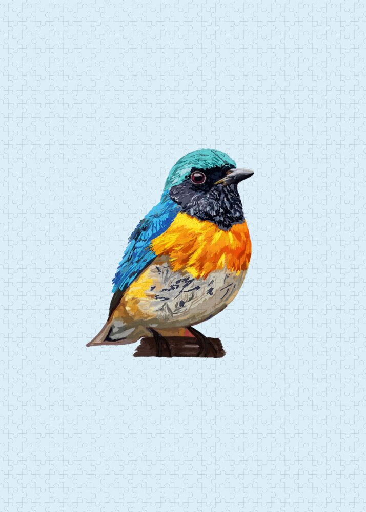 Rainbow Song Bird - Puzzle - Blue Cava