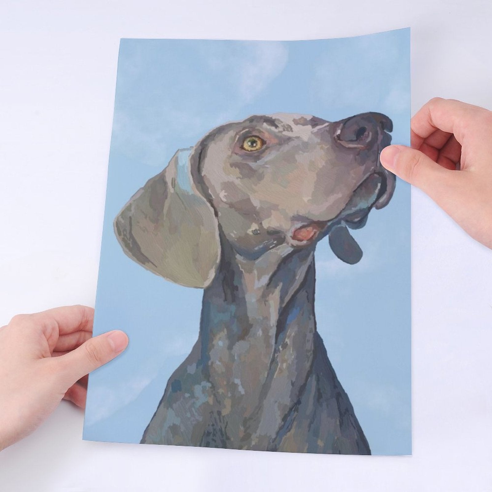 Weimaraner Stickers - Blue Cava