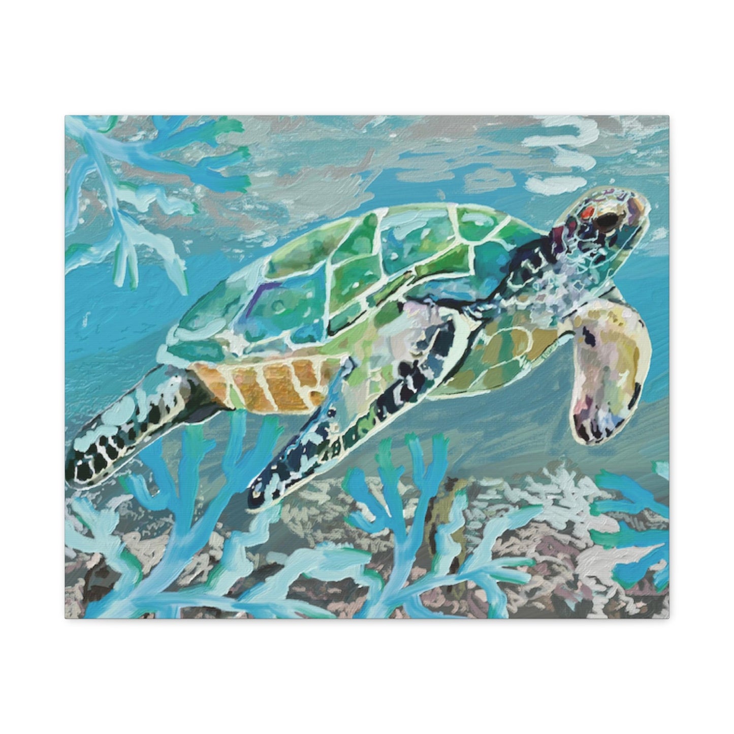 OKI Sea Turtle Canvas Gallery Wraps - Blue Cava